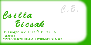 csilla bicsak business card